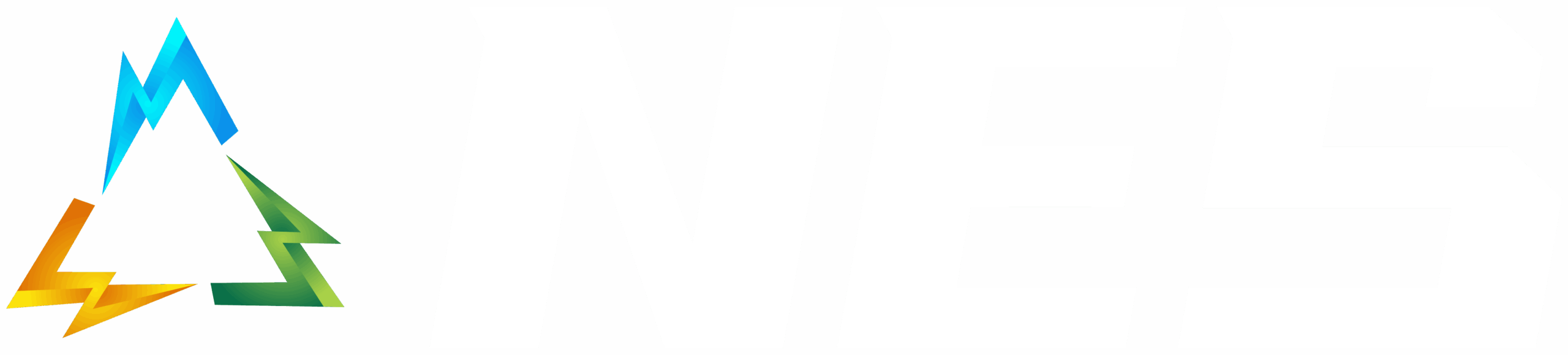 NES Logo